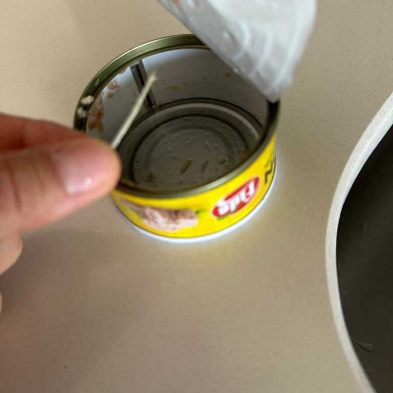 Fide Ton Balığında Kılçık Çıkması Çocuğumun Sağlığını Tehlikeye Attı