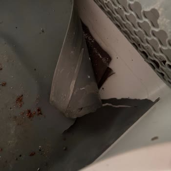 Garanti Kapsamında Değerlendirilmeyen Kedi Tuvaleti Deformasyonu Mağduriyeti