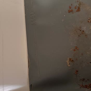 Garanti Kapsamında Değerlendirilmeyen Kedi Tuvaleti Deformasyonu Mağduriyeti