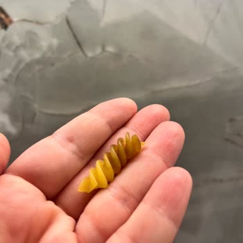 Barilla Makarna Paketinden Şaşırtan Yabancı Madde!