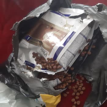 Kargoda Parçalanan Mama Nedeniyle Kedim Hasta Oldu, Paramın İadesini İstiyorum