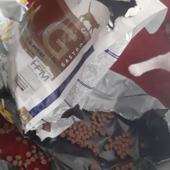 Kargoda Parçalanan Mama Nedeniyle Kedim Hasta Oldu, Paramın İadesini İstiyorum