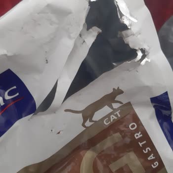 Kargoda Parçalanan Mama Nedeniyle Kedim Hasta Oldu, Paramın İadesini İstiyorum