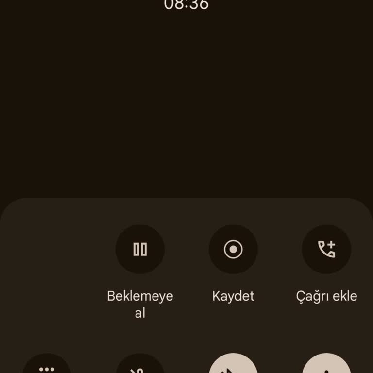 Papara Hesabıma Gönderdiğim Para Hesabıma Geçmedi, Destek Hizmetine Ulaşamıyorum
