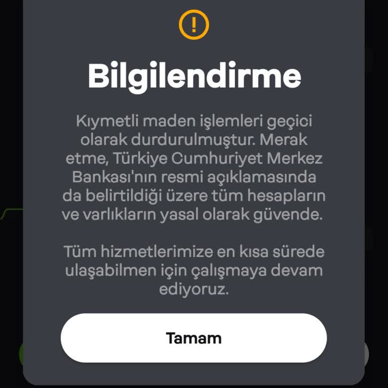 Papara Altın Yatırımlarımıza Erişim Sorunu