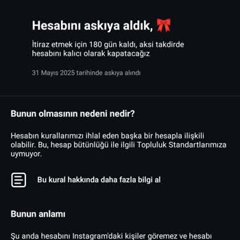 Instagram Sebepsiz Yere Aynı Anda 6 Hesabım Askıya Alındı