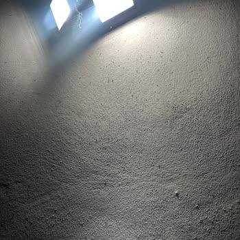 Mersin Büyükşehir Belediyesi Şevket Sümer Mahallesi'nde Böcek Sorunu ve Yetersiz İlaçlama