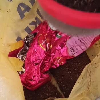 Aldığım Çayın Kalitesi Beklentimin Altında Kaldı