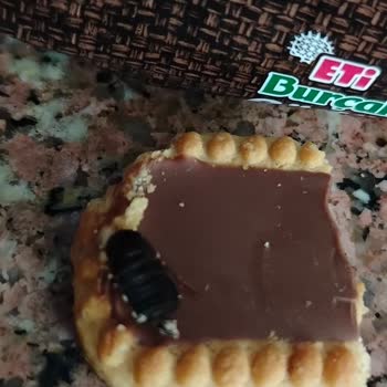 Küçük Çocuğumun Yediği Bisküvinin İçinden Örümcek Çıktı