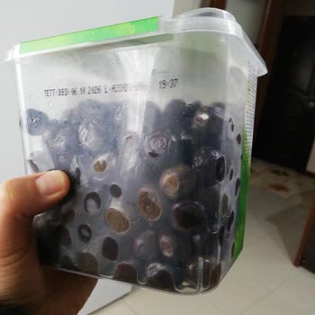 A101’den Aldığım Küflü Zeytine 4 Ay Boyunca Çözüm Sunulmadı