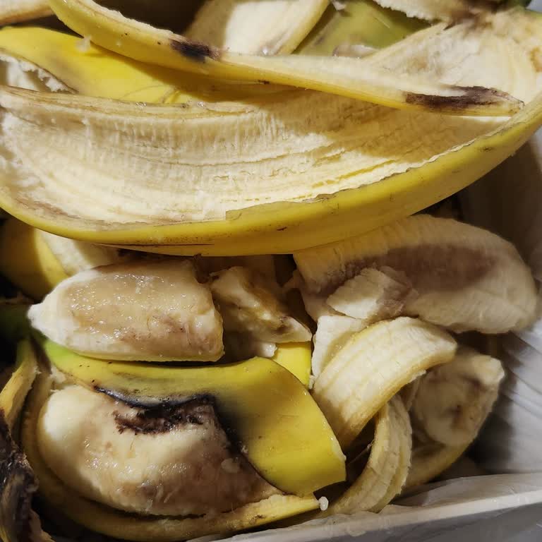 Çağdaş Market'te Satılan Çürük Muzlar Hayal Kırıklığı Yarattı