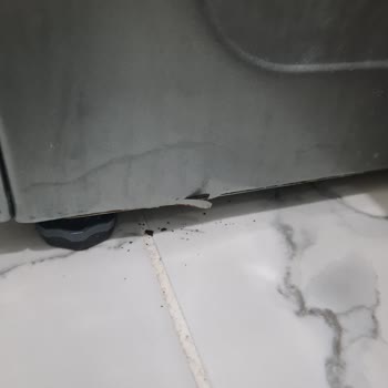 Yeni Çamaşır Makinesinde Erken Paslanma Sorunu