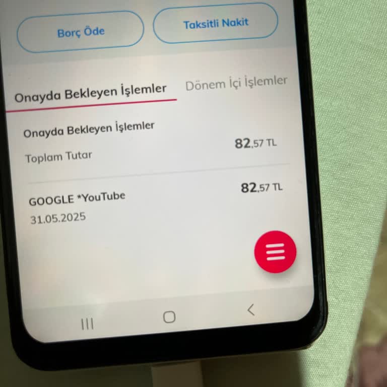 Google Ve YouTube'dan İzinsiz Para Çekilmesiyle İlgili Acil Destek Talebi