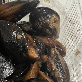 Bozuk Ve Kokmuş Midye Siparişi Mağduriyeti