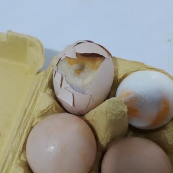 A101'den Aldığım Gezen Tavuk Yumurtası Bozuk Çıktı, Denetimsizlikten Şikayetçiyim