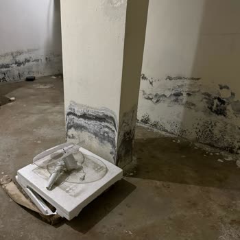 Satın Alınan Konutta Yapısal Sorunlar Ve İlgisizlik