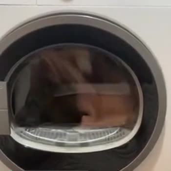 Arçelik Kurutma Makinesi Sesi