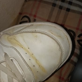 Adidas Hoops 3.0 Ayakkabıda Kısa Sürede Yaşanan Ciddi Kalite Sorunları Ve Yetersiz Müşteri Hizmeti