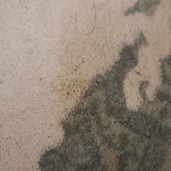 Narven Termal Kasabada Hijyen Sorunları Endişe Veriyor