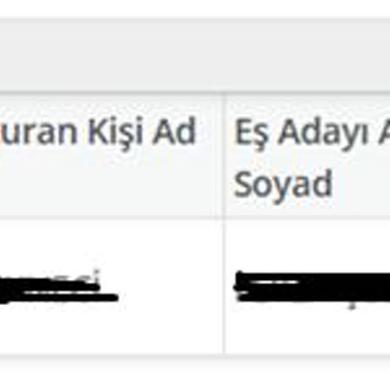 T.C. Cumhurbaşkanlığı Destek Projesinde Gelir Şartı Mağduriyeti: Anlaşılmaz Ret Kararı