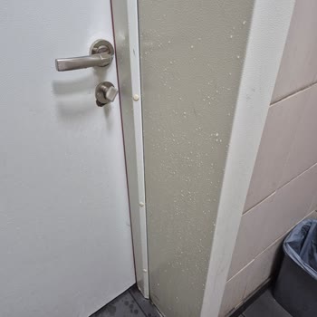 Pendik Marmaray Kadın WC'lerinde Temizlik Sorunu Ve Hijyen Eksikliği