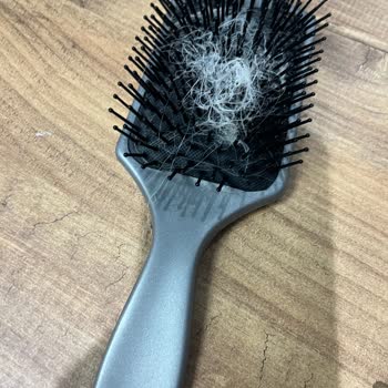 Erzurum Merveda Kuaför Saç Boyatma Hayal Kırıklığı İle Sonuçlandı