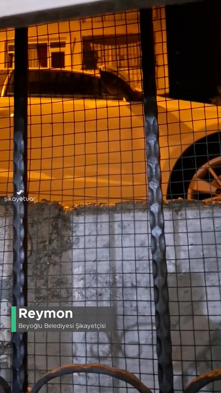 Beyoğlu Belediyesi Kaldırım Ve Evimizin Cam Önü Tamamen Araçlar Tarafından İşgal Ediliyor! videonun kapak resmi