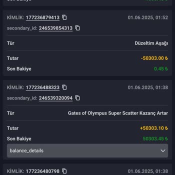 Kazancımın Silinmesi Ve Güven Sorunu Yaşadım