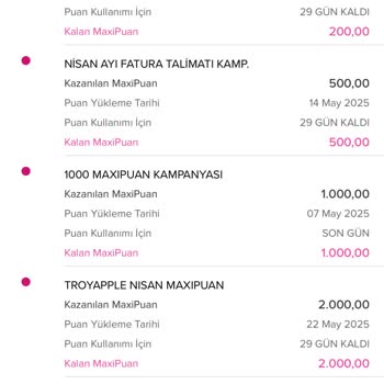 MaxiPuan'ım Eksik Ve Müşteri Desteği Bulamıyorum