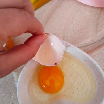 Aldığım Yumurtalarda Şok Edici Sorunlar Ve Sağlık Riski