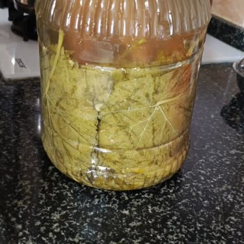 Hayriyenin.elinden Yaprağın Görünenle Alakası Yok