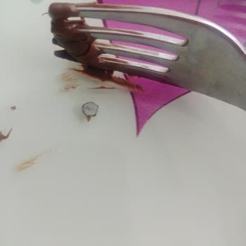 Kakaolu Fındık Kremasında Metal Parçası Bulduk Sağlık Riski Endişesi Yaşıyoruz