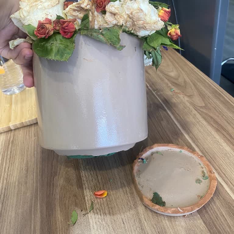 Çiçek Sepeti Doğum Günü Sürprizinde Kırık Saksı ve Solmuş Çiçek Hayal Kırıklığı