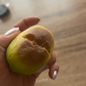 Kusurlu Ürünler Ve Müşteri Hizmetlerinden Hiçbir Dönüş Alamadım