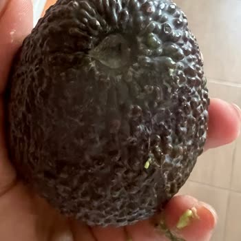 Kusurlu Ürünler Ve Müşteri Hizmetlerinden Hiçbir Dönüş Alamadım