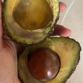 Kusurlu Ürünler Ve Müşteri Hizmetlerinden Hiçbir Dönüş Alamadım