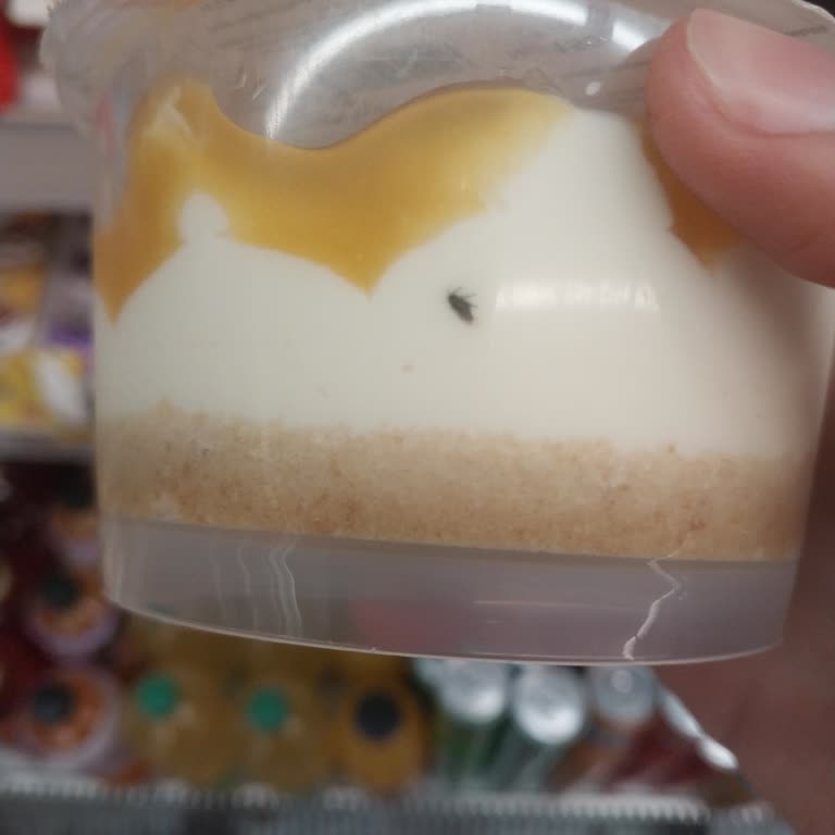 Şeftalili Cheesecake Ürününün İçinden Böcek Çıkması