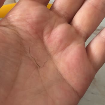 Kahvaltılık Sosun İçinden Çıkan Yabancı Maddeyle Şok Oldum