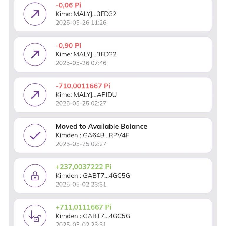 Pi Network Cüzdanında Güven Sorunu: Emeklerim Başka Cüzdana Aktarıldı