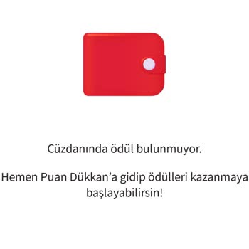 Kazandığım Rebook İndirim Kuponları Hesabıma Yüklenmedi