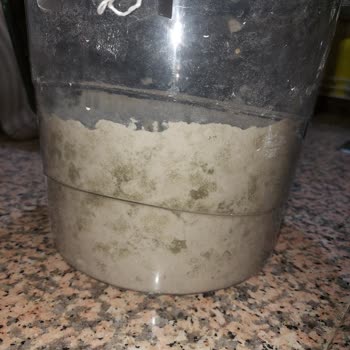 Trendyol Saklama Kabında Unlar Küflendi, Yorumum Yayımlanmadı