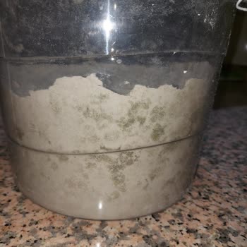 Vienev Saklama Kabında Unlar Küflendi, Yorumum Yayımlanmadı