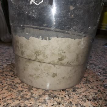 Vienev Saklama Kabında Unlar Küflendi, Yorumum Yayımlanmadı