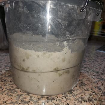 Vienev Saklama Kabında Unlar Küflendi, Yorumum Yayımlanmadı