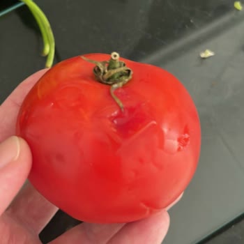 Çürük Ve Bozulmuş Ürünlerle Kötü Müşteri Hizmeti