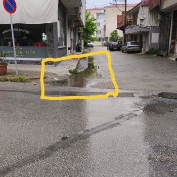 Sokakta Oluşan Su Birikintisi Hakkında Şikayet