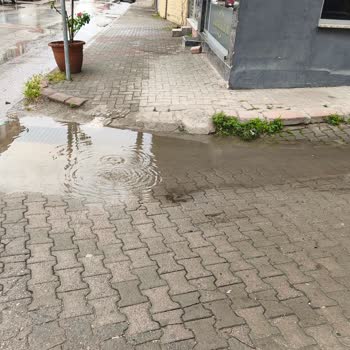Sokakta Oluşan Su Birikintisi Hakkında Şikayet