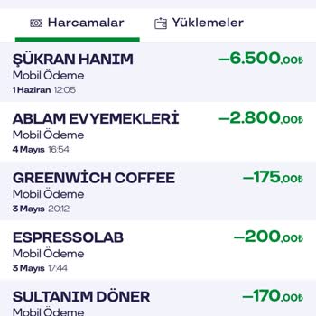 Pluxee Hesabımdan Bilgim Dışında 6500 TL Çekildi, Acil İnceleme Talebi