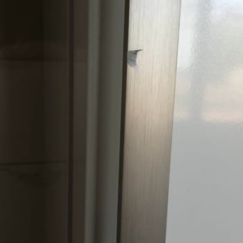 Sıfır Alınan Buzdolabı Teslimatta Hasar Gördü, Değişim Talebim Reddedildi