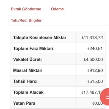7420 Sayılı Kanuna Rağmen Borcum Silinmiyor, Faizle Katlanıyor